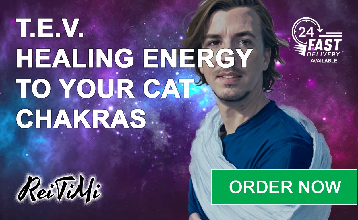 reitimi-fiverr-cat-tev-chakras