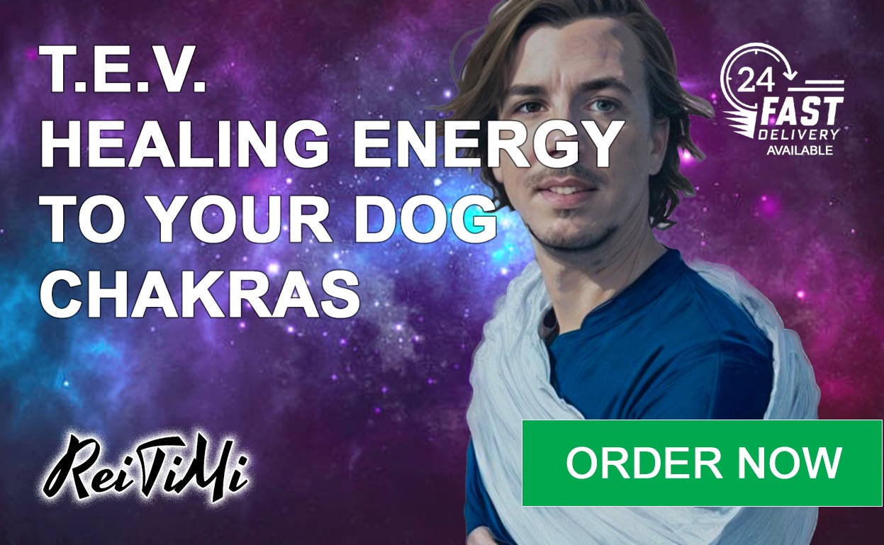 reitimi-fiverr-dog-tev-chakras